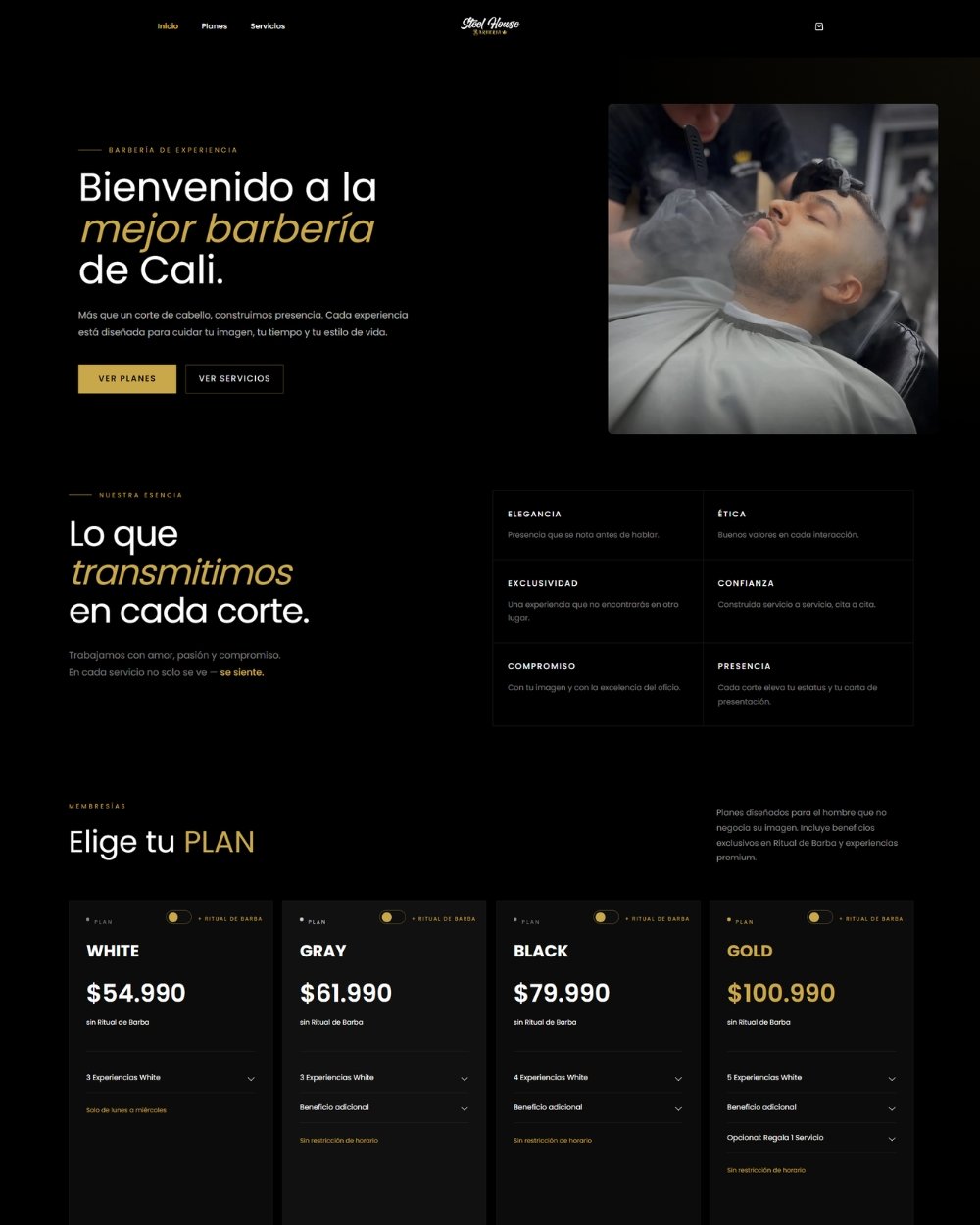Tienda online Steel House desarrollada por CaliPro Digital