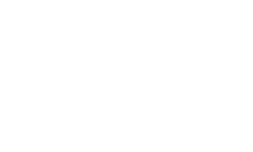 Tráfico & Publicidad Digital